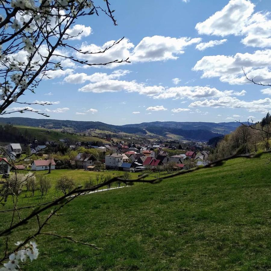 Kwatera U Somsiada -Apartament Muszyna Esterno foto