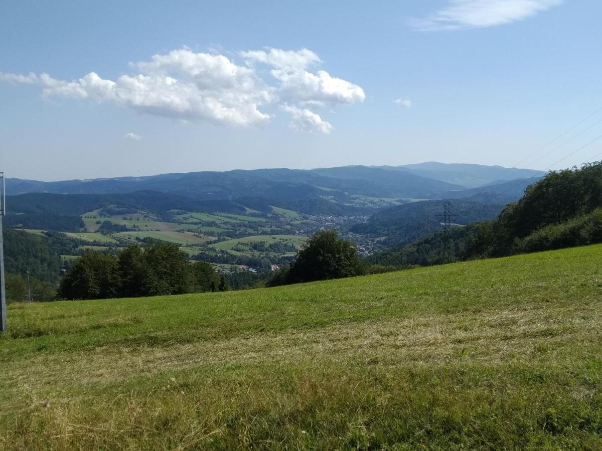 Kwatera U Somsiada -Apartament Muszyna Esterno foto