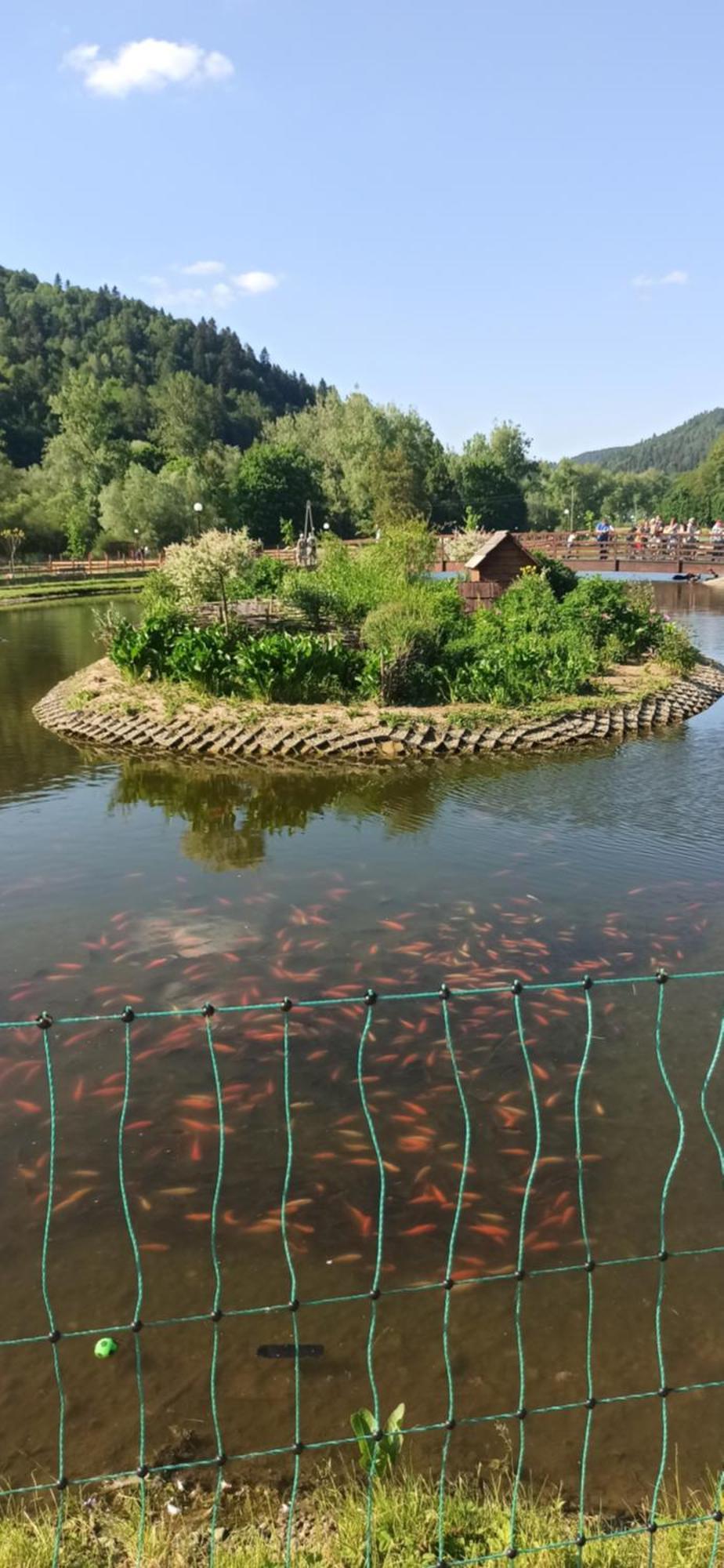 Kwatera U Somsiada -Apartament Muszyna Esterno foto