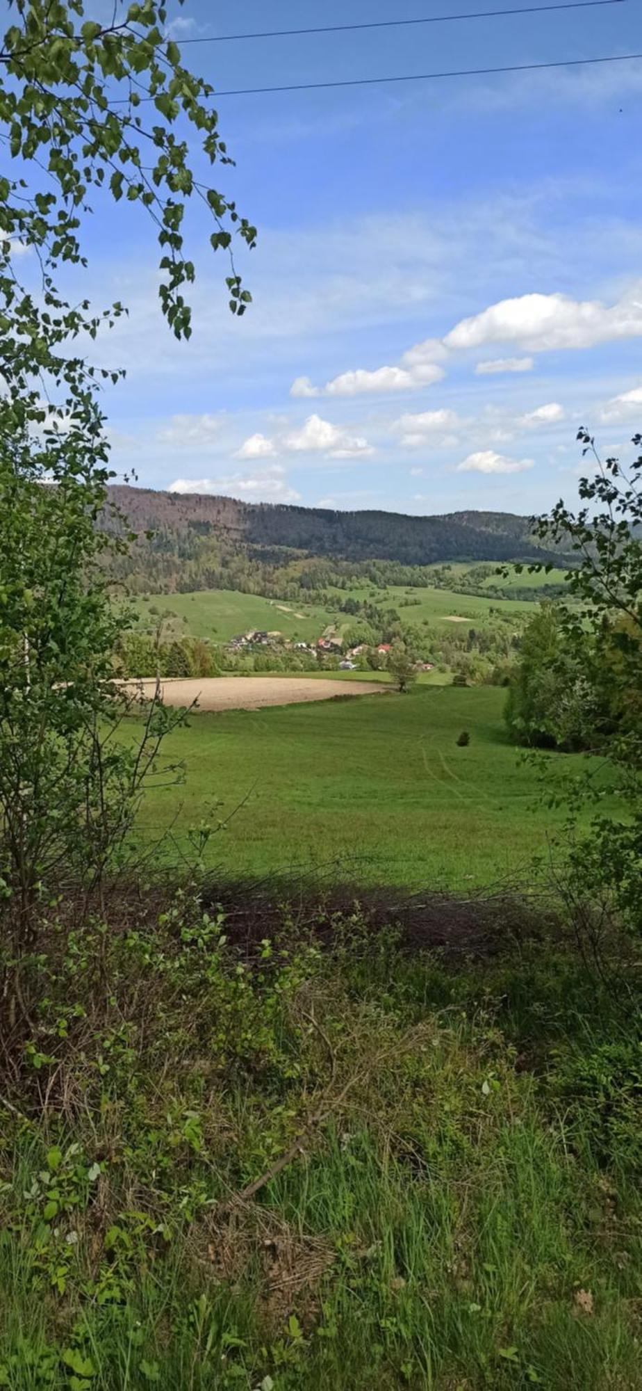 Kwatera U Somsiada -Apartament Muszyna Esterno foto
